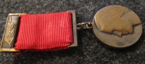 Лиза Чайкина, За пропаганду комсомола!