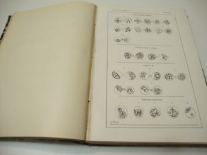 Известия Императорской Археологической Комиссии. 1905г.