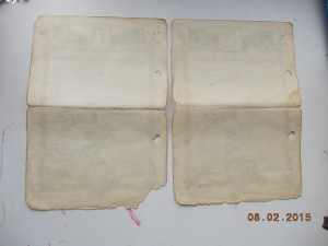 Благодарности много +Варшава Берлин на кавалериста