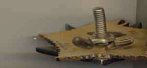 Отечка 1 ст. №284884 (3133)