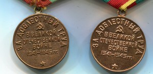 За Доблестный труд в ВОВ-2 шт