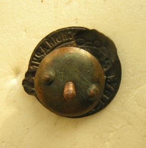 АвтоДор в сборе , длинный винт