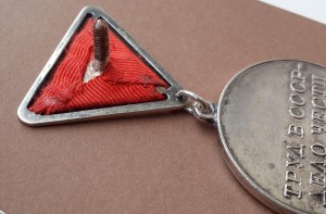 ТРУДОВАЯ ДОБЛЕСТЬ № 4960, "треуголка", в родном сборе!