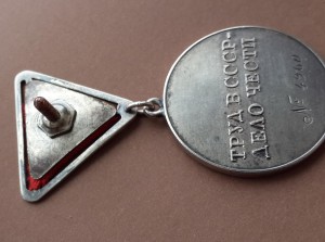ТРУДОВАЯ ДОБЛЕСТЬ № 4960, "треуголка", в родном сборе!