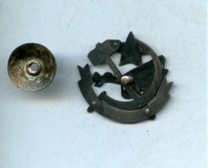 ОДВФ Сев-Зап.Области 1923 г.