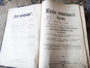 Жизнь животных, Брэм   1909г С.Петербург