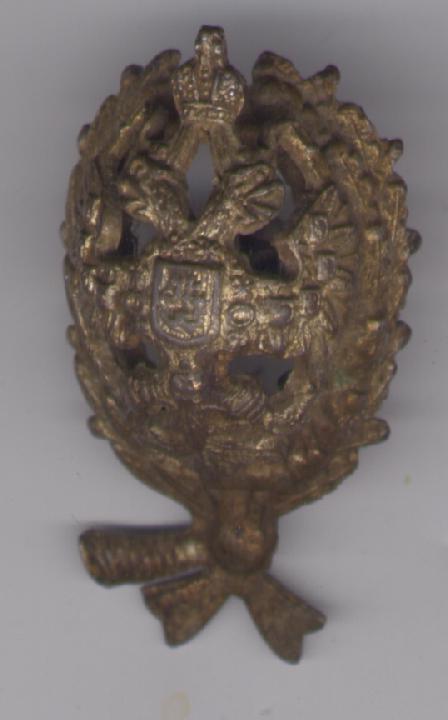 Академический знак в позолоте ?