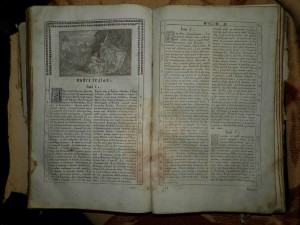 Огромная старинная книга