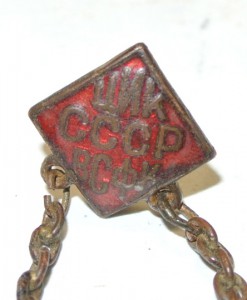 ГТО ЦИК ВСФК на цепях