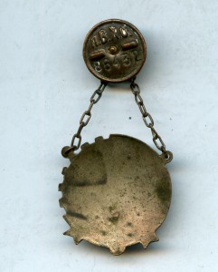 ПВХО -  II ступень , массивный , красивый значок d - 36