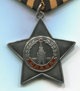 Слава 3 ст. № 652190. Без сознания сутки на поле боя.