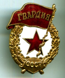 Гвардия ЖРПТ тип 3.3 по Б.Айрапетяну