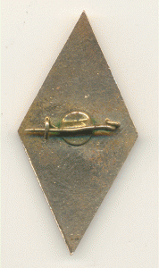 Даугавпилсский педагогический институт