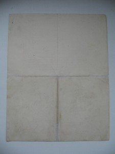 12 благодарностей на кавалера ордена А.Невского.