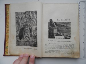 Рассказы из жизни насекомых.Сказочная библиотека.