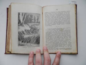 Рассказы из жизни насекомых.Сказочная библиотека.