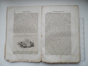 Архив судебной медицины 1865г