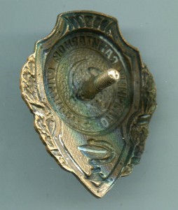 Отличник санитарной службы