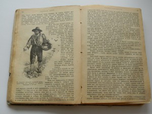 Д.Дэфо Робинзон Крузо 1900 год илл. Пэтжета