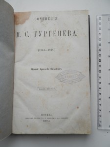 Тургенев 1874г.