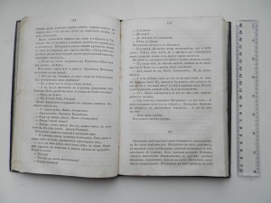 Тургенев 1874г.