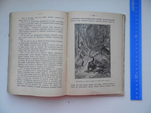 Путешествия по воздуху 1899г.Масса иллюстраций