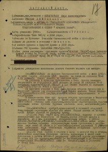 БГ НА ЛЁТЧИКА ШТУРМОВИКА ГСС