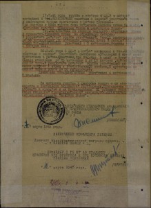 БГ НА ЛЁТЧИКА ШТУРМОВИКА ГСС