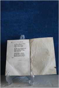 Русская библиотека Н.А.Некрасов (прижизненное изд.) 1877 г