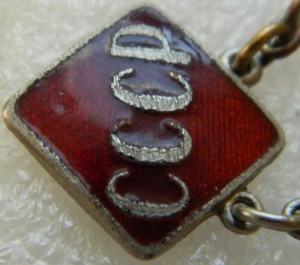 Готов к труду и обороне подвесной