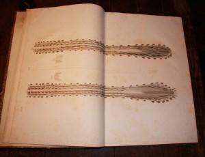 GALL, Franz Joseph (1758-1828) Научный труд.5 томов.Гравюры.