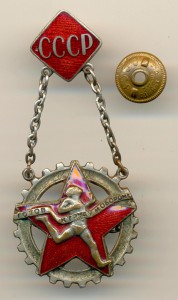 Готов к труду и обороне подвесной (3416)