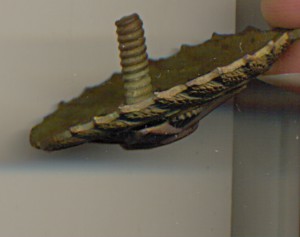 КРАСНОАРМЕЙСКАЯ ЗВЕЗДА (3429)