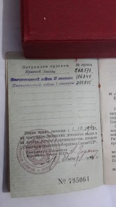 Шикарная группа командира эскадрильи