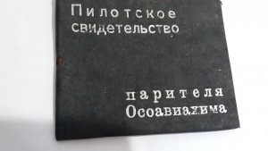 Шикарная группа командира эскадрильи