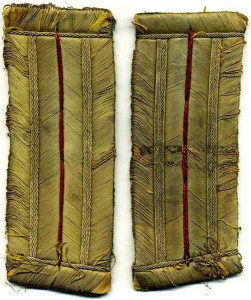 Шитые золотом петлицы