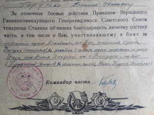 Благодарность верховного Одесса, Раздельная, Белград и ещё