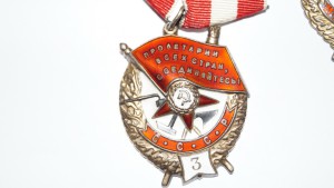 БКЗ+БКЗ 2+ БКЗ 3 + отечка 1 ст. +кз на доках