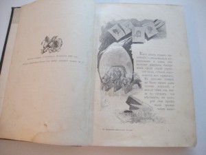 Желиховская В.П. В татарском захолустье. 1900г.