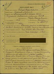 БКЗ № 35713 на боевого комбата.