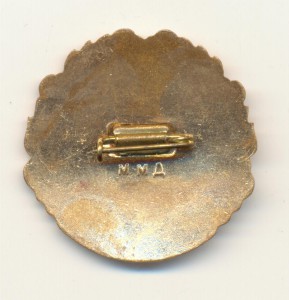 За освоение голодной степи ЦК ВЛКСМ.