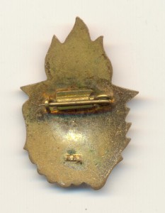 За активную работу с пионерами с доком.