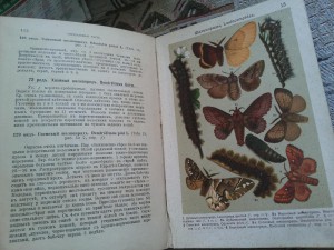 Атласъ Бабочек 1913г