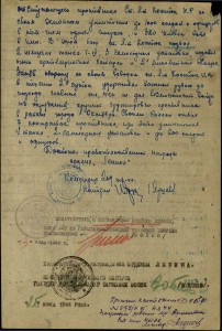 часть комплекта ГСС, танкист Костюк Иосиф Степанович