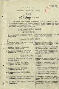 часть комплекта ГСС, танкист Костюк Иосиф Степанович