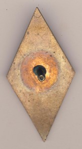 Рижский политехнический институт в коробке