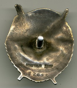 БКЗ штифтовый.