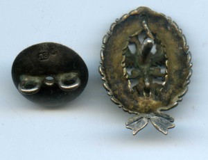 Лесной институт ( фрачник)