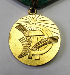 Нечерноземье с доком