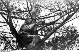 БКЗ № 14241 за Финскую, снайпер против кукушек